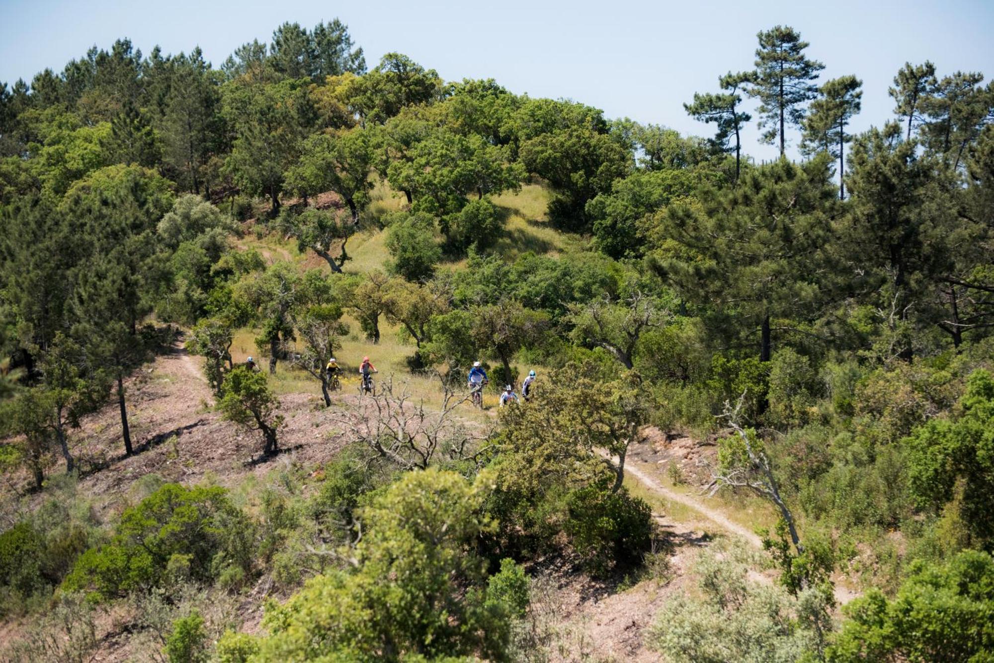 Herdade Das Barradas Da Serra Grândola Extérieur photo