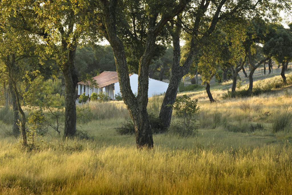 Herdade Das Barradas Da Serra Grândola Extérieur photo